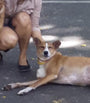 files/Untitled-5_d1b9ef8c-d33d-4e01-96d2-6f22f54e65d3.jpg